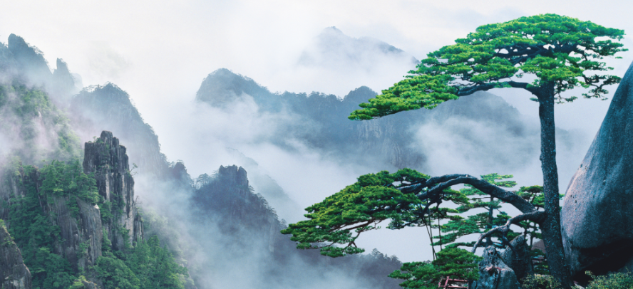 岳阳图书管理软件,岳阳智慧图书数据处理,岳阳图书馆数据加工服务,岳阳数字图书处理